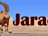 Jarac