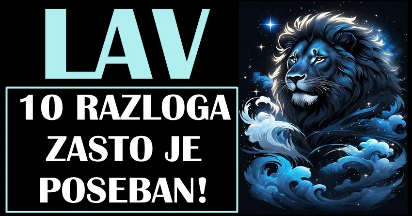 LAV je POSEBAN! Evo i 10 RAZLOGA koji to dokazuju! LAV je POSEBAN! Evo i 10 RAZLOGA koji to dokazuju!