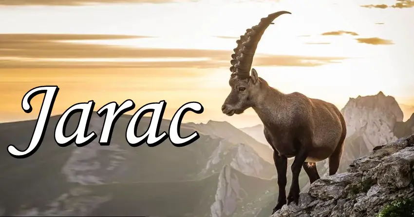 Jarac je osoba koja MOŽE SVE kada hoce, ali isto tako nikada NEĆE pogaziti svoju REČ i ČAST! Jarac je osoba koja MOŽE SVE kada hoce, ali isto tako nikada NEĆE pogaziti svoju REČ i ČAST!