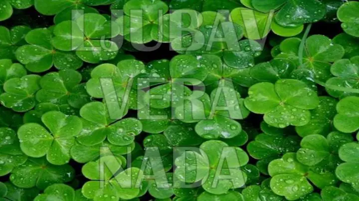 REČI se kriju na slici! Ove reči koje ŽIVOT ZNAČE  će vam otkriti vašu MOĆ VIDA! Odličan test je pred vama!