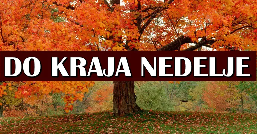 Ova nedelja savetuje oprez Biku sa novcem, Jarac postiže uspeh, a OVAJ znak pravi VELIKU GRESKU! Ova nedelja savetuje oprez Biku sa novcem, Jarac postiže uspeh, a OVAJ znak pravi VELIKU GRESKU!