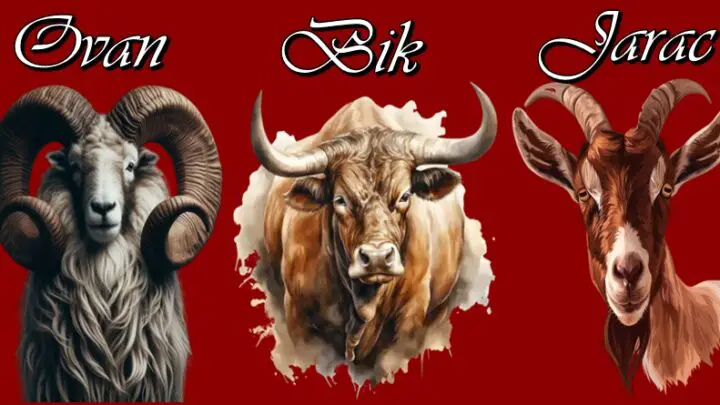 OVAN, BIK I JARAC – o njima ovo MORATE ZNATI! Evo zašto su oni BOGOVI ZODIJAKA!