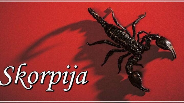 Škorpije imaju JAK KARAKTER, ali VELIKO SRCE! Jedino što nikada neće oprostiti je OVO!