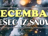 poslednji mesec 2024.