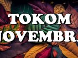 novembar