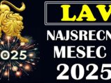 lavovi