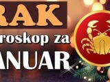 rakovi
