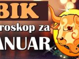 za bika