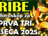 ribe