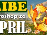 Ribe
