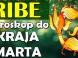 ribe