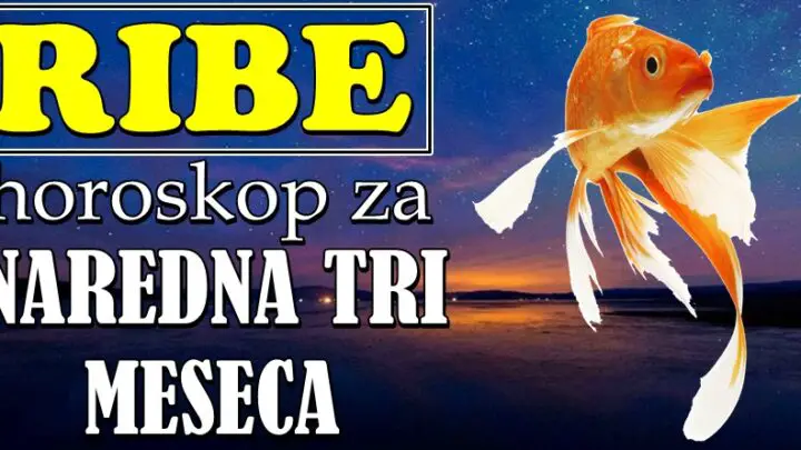 NAREDNA TRI MESECA će RIBAMA doneti VELIKU SREĆU I PROMENU!