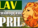 lavovi