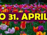 do 31. aprila