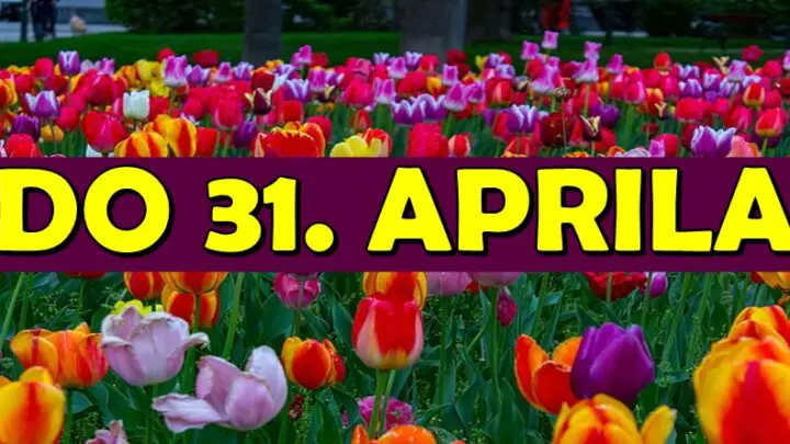 Do 31. aprila Bika očekuje novčani dobitak, Jarcu sledi velika prekretnica, a OVOM sledi velika nagrada sudbine!