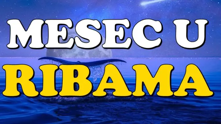 Nebeska inspiracija u punom sjaju: Mesec u Ribama donosi ISCELJENJE ovim znacima!