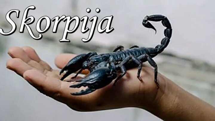 KARMA će u APRILU biti NAKLONJENA ŠKORPIJAMA! Sledi NAGRADA kakvu ne očekuju!