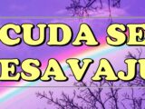 čuda se dešavaju