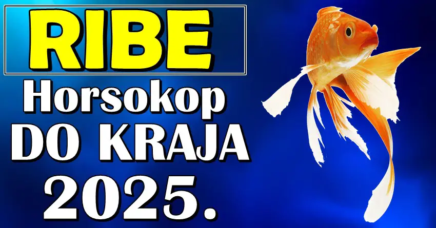 Moćna godina za Ribe: Sudbinski susreti, novi putevi i unutrašnja snaga! Moćna godina za Ribe: Sudbinski susreti, novi putevi i unutrašnja snaga!