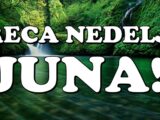 NEDELJA KOJA DONOSI ČUDA: Treća nedelja juna OTVARA PUT OVIH znakova ka OSTVARENJU SNOVA!