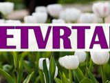 19. JUN MENJA TOK SUDBINE: Zvezde šalju snažan signal OVIM ZNAKOVIMA!