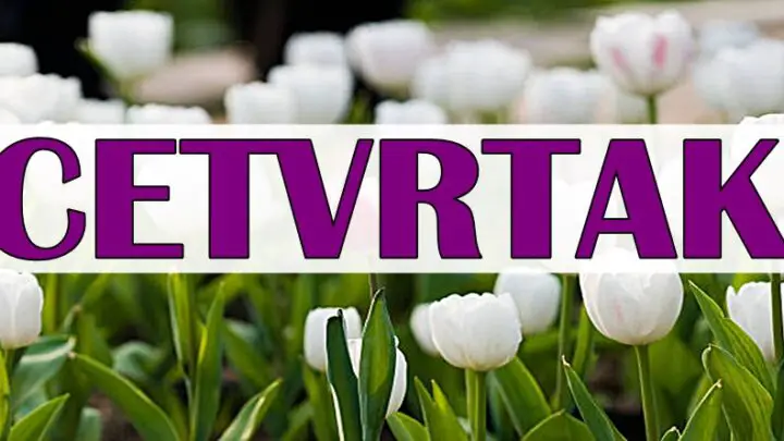 19. JUN MENJA TOK SUDBINE: Zvezde šalju snažan signal OVIM ZNAKOVIMA!