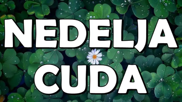 NEDELJA ČUDA: Od 9. do 16. juna OVI znakovi doživljavaju SREĆU, LJUBAV i USPEH!