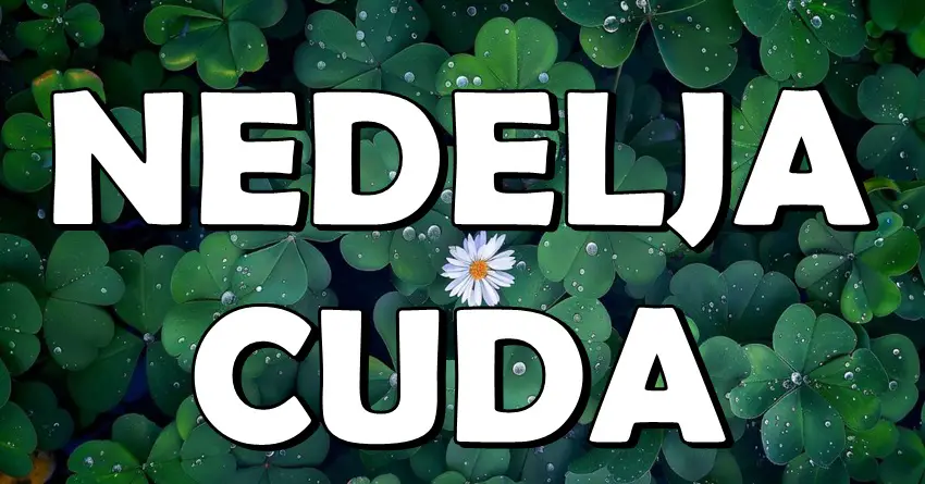 NEDELJA ČUDA: Od 9. do 16. juna OVI znakovi doživljavaju SREĆU, LJUBAV i USPEH! NEDELJA ČUDA: Od 9. do 16. juna OVI znakovi doživljavaju SREĆU, LJUBAV i USPEH!