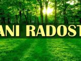 Dani radosti dolaze – univerzum ispunjava VELIKU želju OVIM znacima!