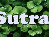 Sutra kreće lavina sreće – proveri da li si na listi!