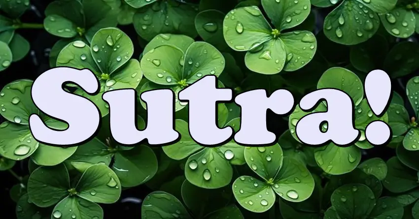 Sutra kreće lavina sreće – proveri da li si na listi!