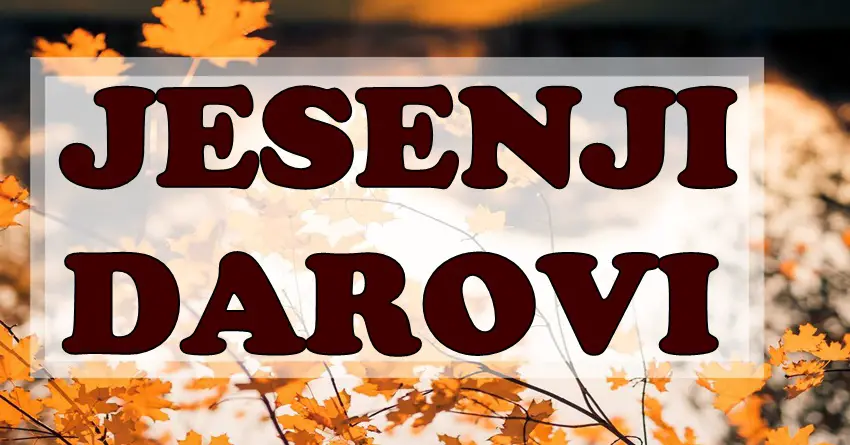 DAROVI JESENI: Ovi znakovi ulaze u period sreće, ljubavi i neočekivanog blagostanja! DAROVI JESENI: Ovi znakovi ulaze u period sreće, ljubavi i neočekivanog blagostanja!